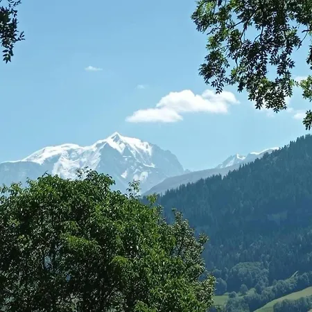 Apartment Stylish With Balcony Or Terrace Praz-sur-Arly
