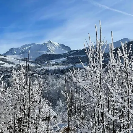 Stylish With Balcony Or Terrace Praz-sur-Arly